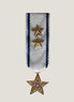 Miniatyrmedalj (CISM SSMDGS)