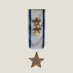 Miniatyrmedalj (CISM SSMDGS)