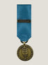 Miniatyrmedalj (FMIntBM ADENVIKEN)