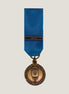 Miniatyrmedalj (FMIntBM IRAK)
