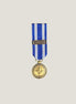 Miniatyrmedalj (NATO Vigilance)