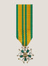 Miniatyrmedalj (NED NijGK)