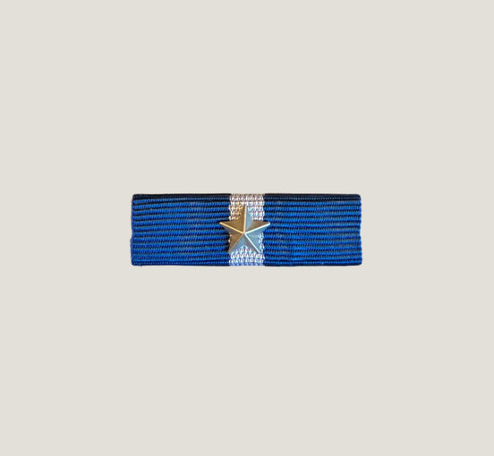 Släpspänne (NOR ForsMIntOp1stjärna)
