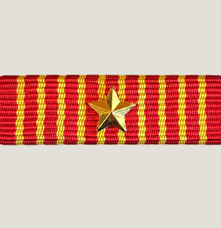 Släpspänne (NOR HaerenTjgM1stjärna)
