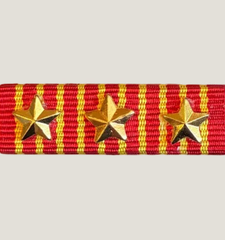 Släpspänne (NOR HaerenTjgM3stjärna)