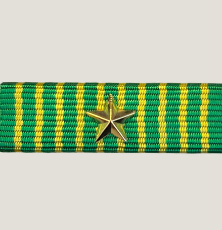 Släpspänne (NOR HvTjgM1stjärna)
