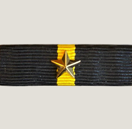 Släpspänne (NOR PolitiM1stjärna)