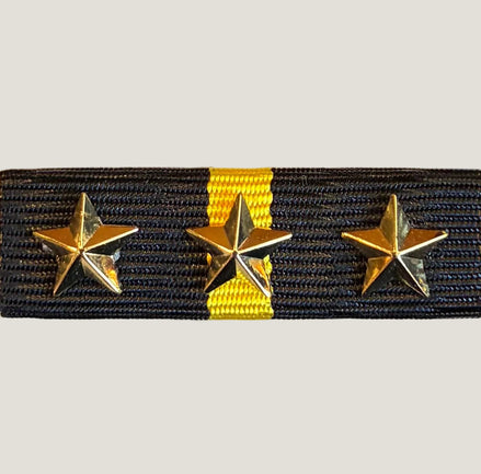 Släpspänne (NOR PolitiM3stjärna)