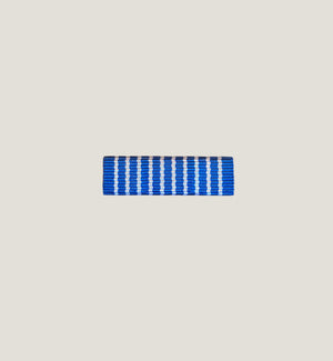 Släpspänne (NOR SjöforsTjgM)