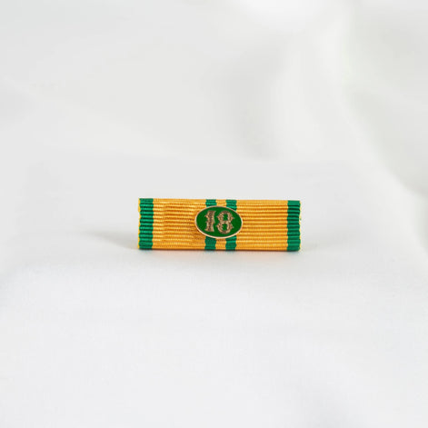 Släpspänne (NED NijGK18)