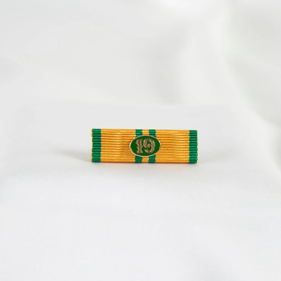 Släpspänne (NED NijGK19)