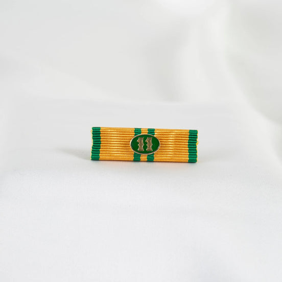 Släpspänne (NED NijGKmkr)