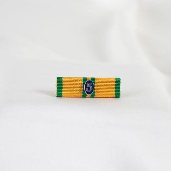 Släpspänne (NED NijSK)