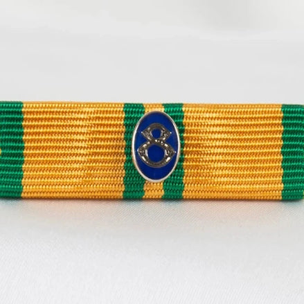 Släpspänne (NED NijSK8)