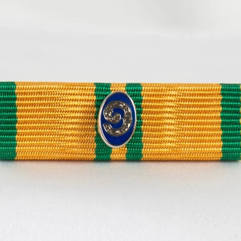 Släpspänne (NED NijSK9)